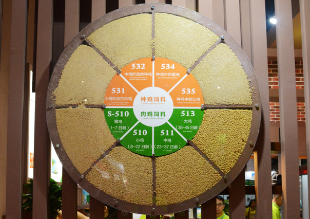 1xBET·Signup(中国区)-官方网站