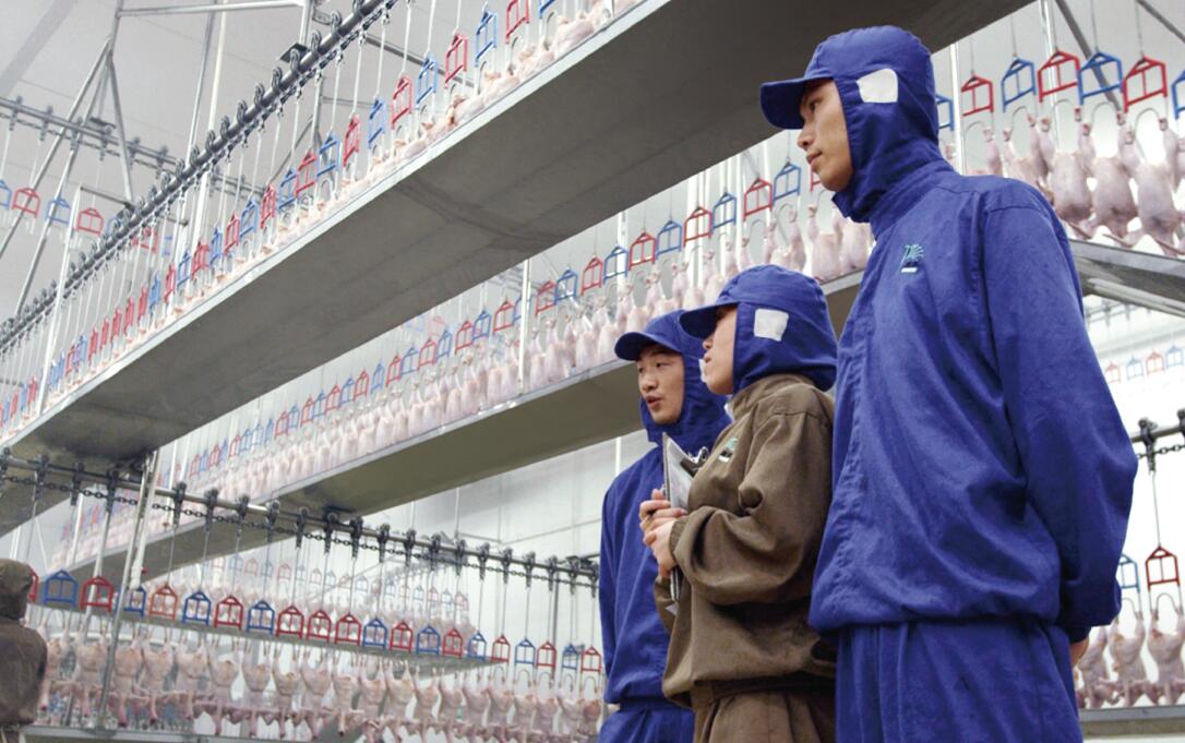 1xBET·Signup(中国区)-官方网站