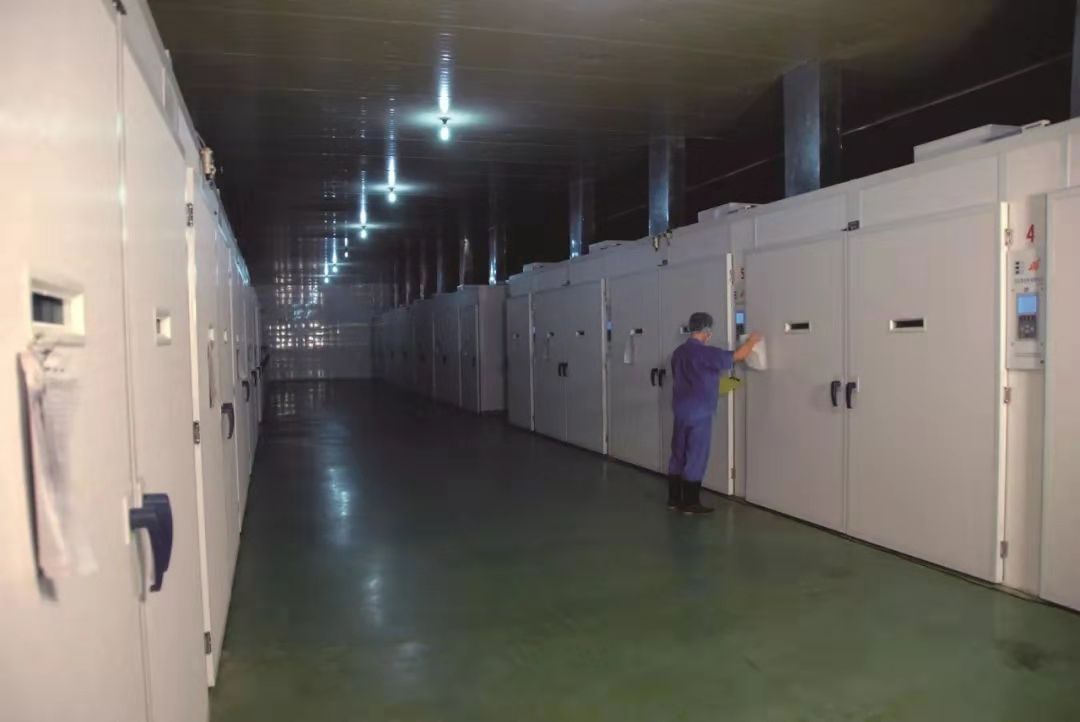 1xBET·Signup(中国区)-官方网站