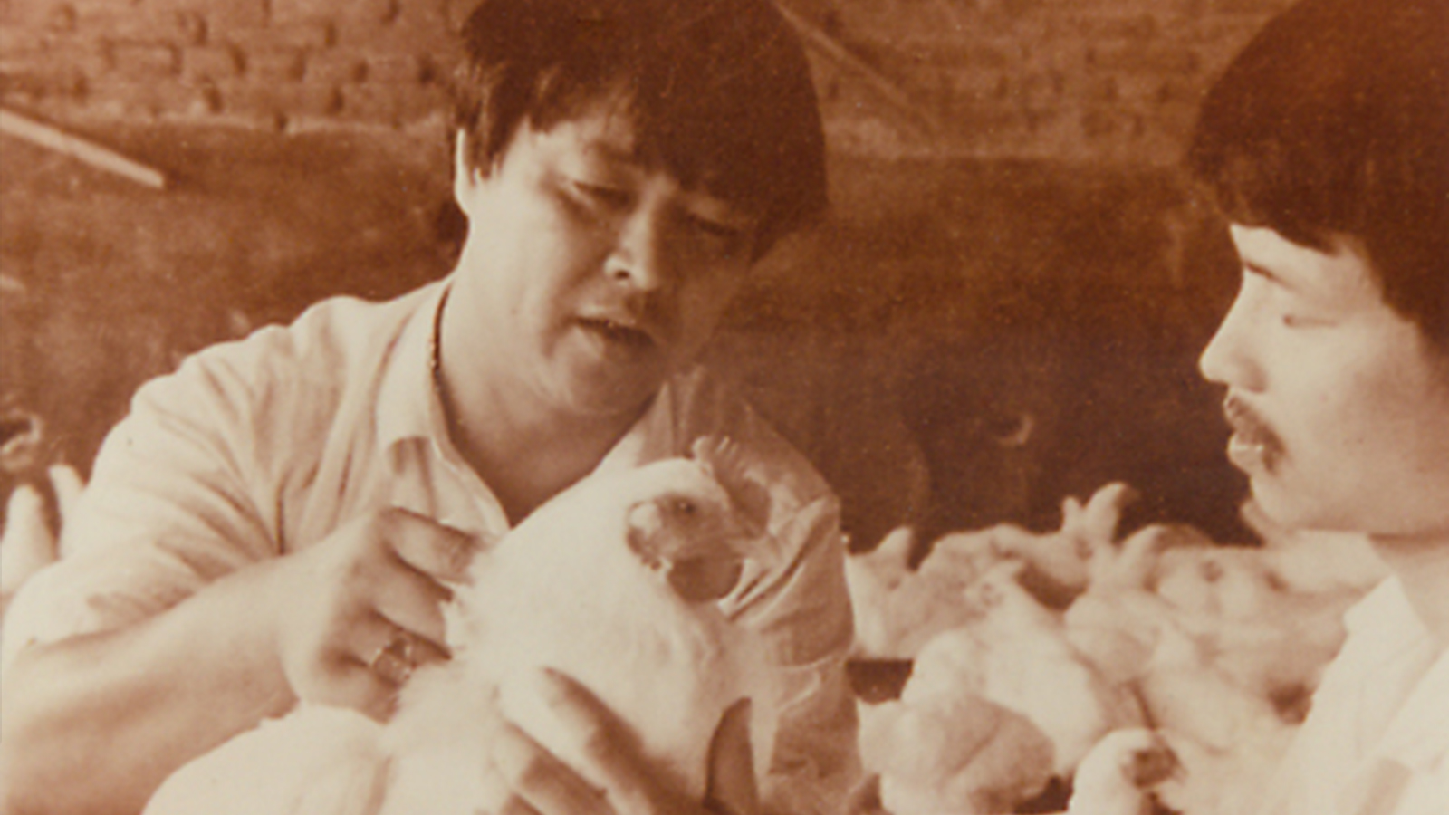 1xBET·Signup(中国区)-官方网站