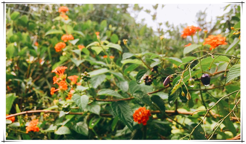 1xBET·Signup(中国区)-官方网站