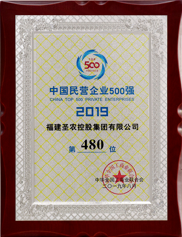 2019（1xBET集团）中国民营企业500强