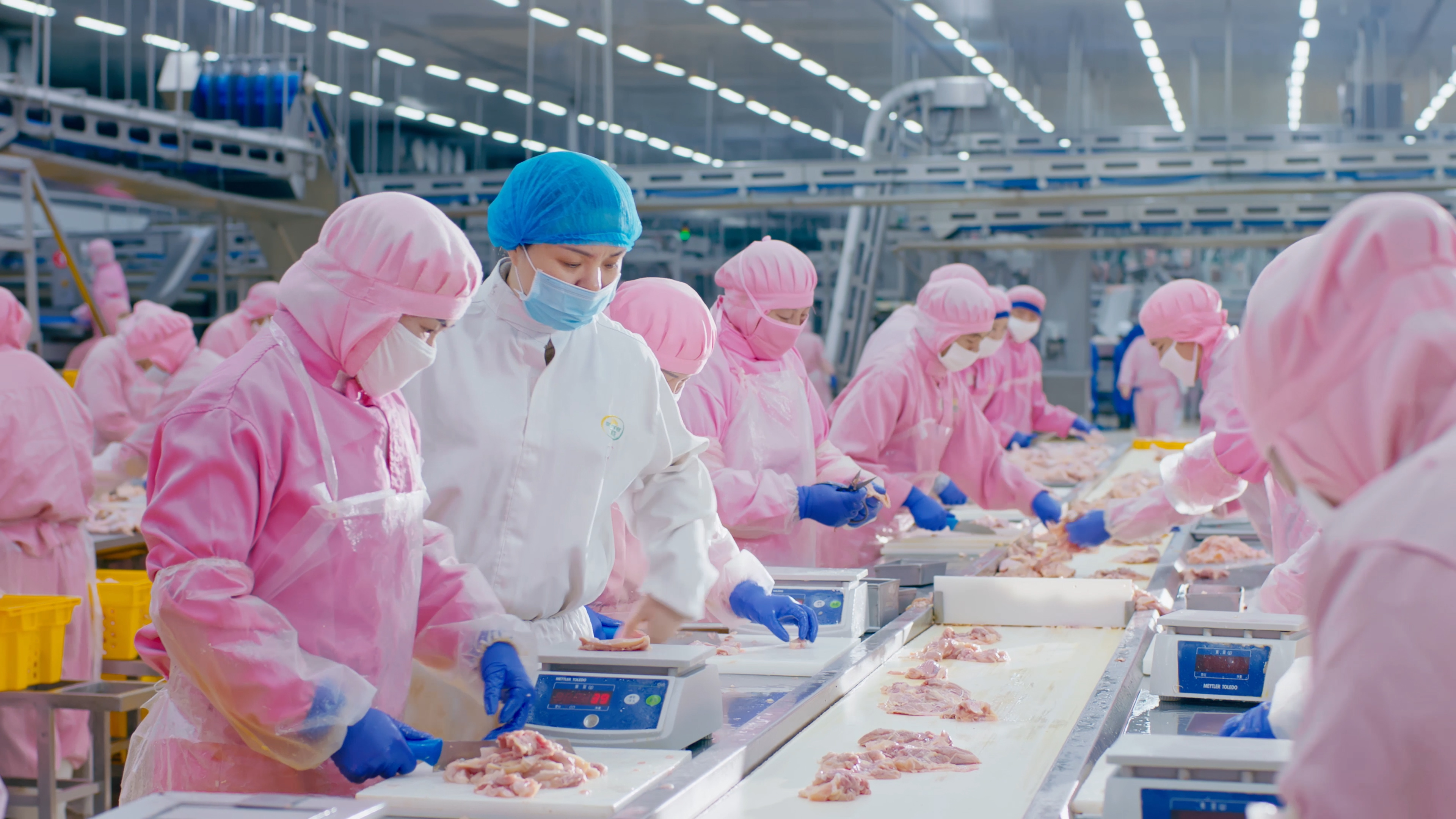 以人为本，，，携手员工配合生长